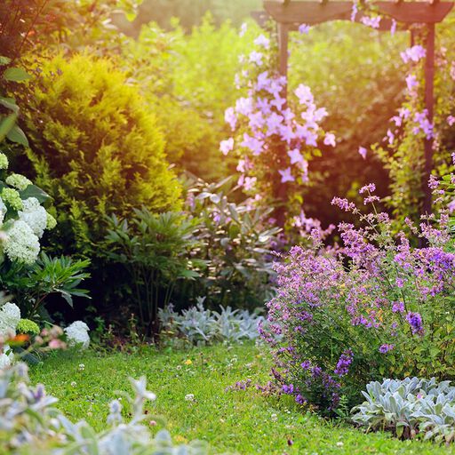 Romanttinen puutarha – kukkien ja tuoksujen keidas