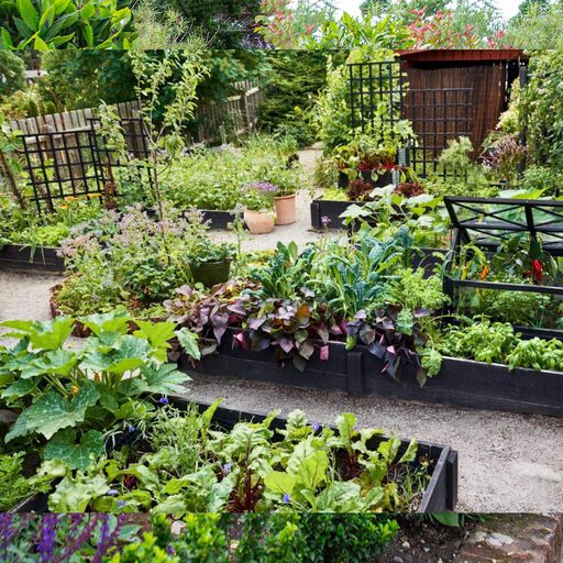 Maanläheinen puutarha – viljele harkiten, itsesi ja luonto huomioiden