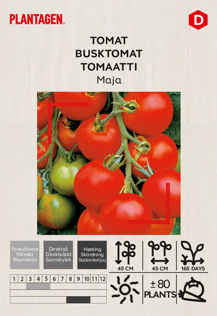 Tomaatti 'Maja' | Plantagen