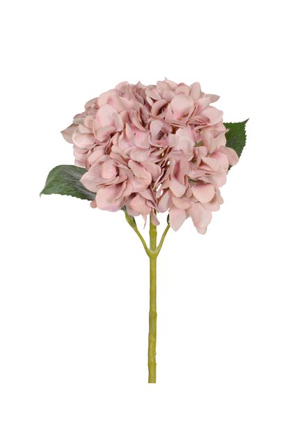 Hortensia tekokasvi, Pituus 67 cm, Pinkki