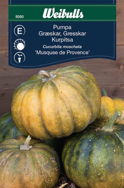 Myskikurpitsa 'Musquee de Provence'