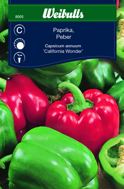 Paprika 'California Wonder'