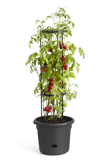 Tomaattiruukku Green Basics, Pituus 33 cm, Musta