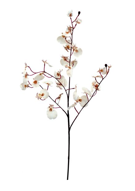 Orkideaoksa tekokasvi, Pituus 81 cm, Pinkki