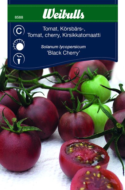 Kirsikkatomaatti 'Black Cherry'