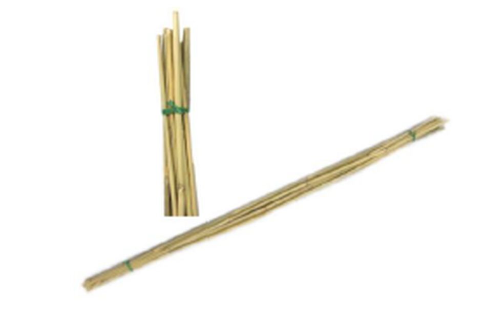 Kukkakeppi bambu, Korkeus 90 cm, Beige