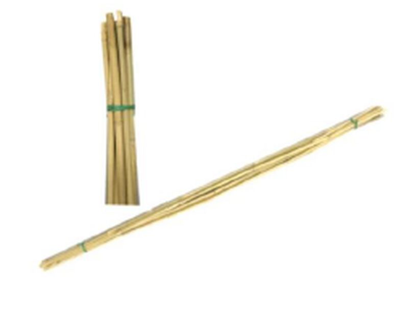 Kukkakeppi Bambu , Korkeus 120 cm, Beige