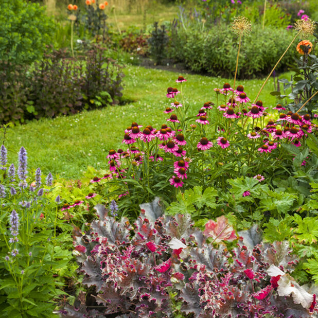 Perennat Romantic Garden, Ø26 cm, Useita värejä