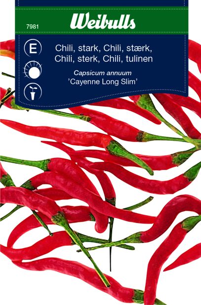 Chili 'Cayenne Long Slim'